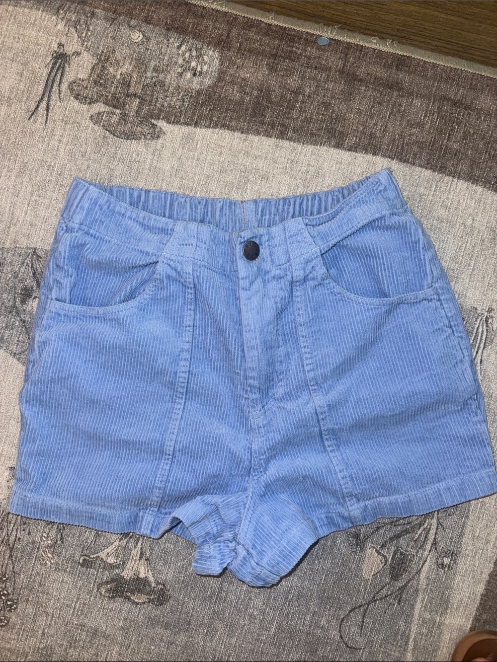 Sisstr Sandy Shores Woven Short in Vista Blue Retro Corduroy Women's Shorts
